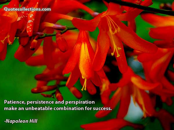 Napoleon Hill Quotes3